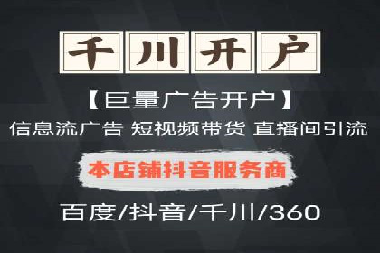 成功SEM竞价托管案例分析报告